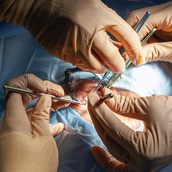 Join our CaRMS email list